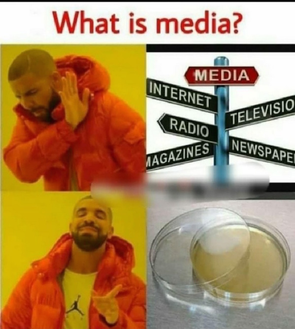 Meme Composition of Media
