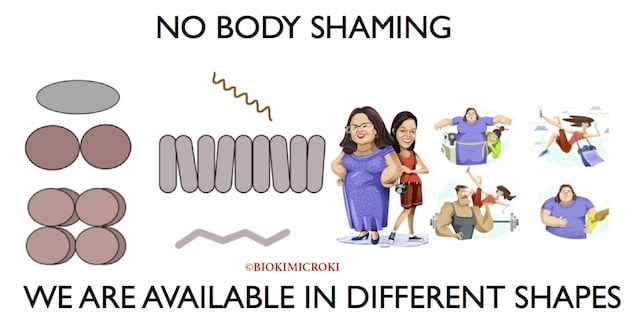 Shapes and arrangement of Bacteria BODY SHAMING