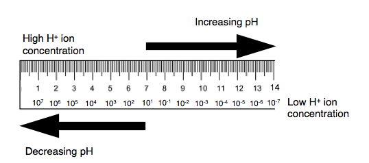 pH Scale for pH meter.