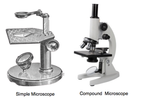 Types of Microscope.