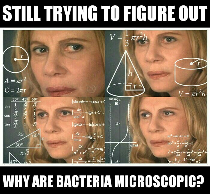 Bacteria are microscopic meme