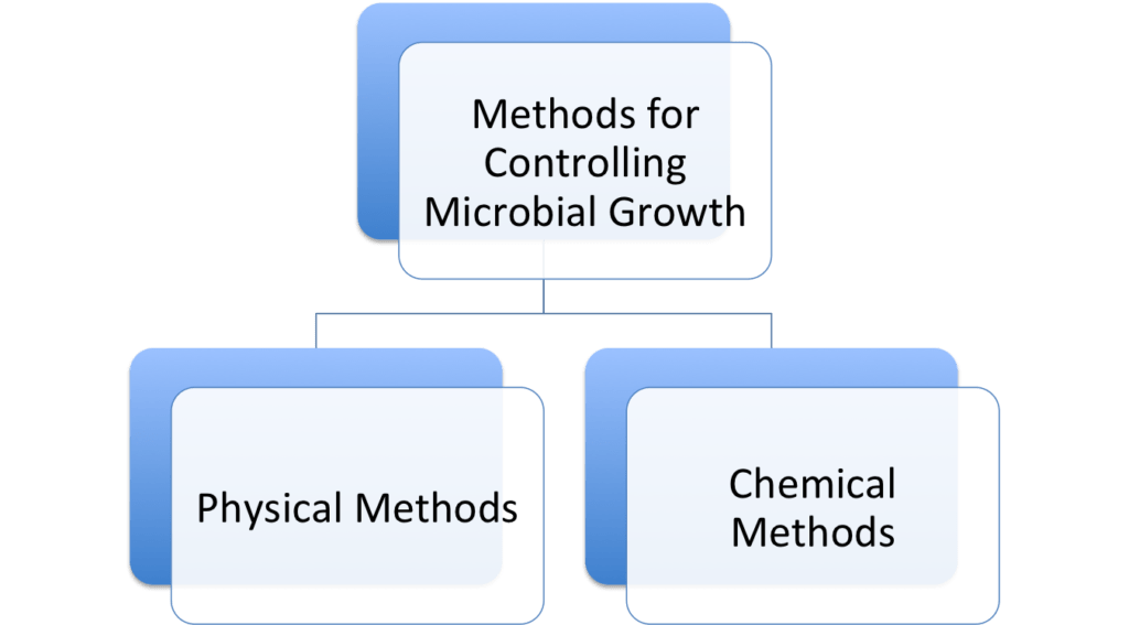 Controlling Microbial Growth