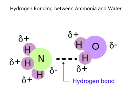 Hydrogen bonding between ammonia and water
