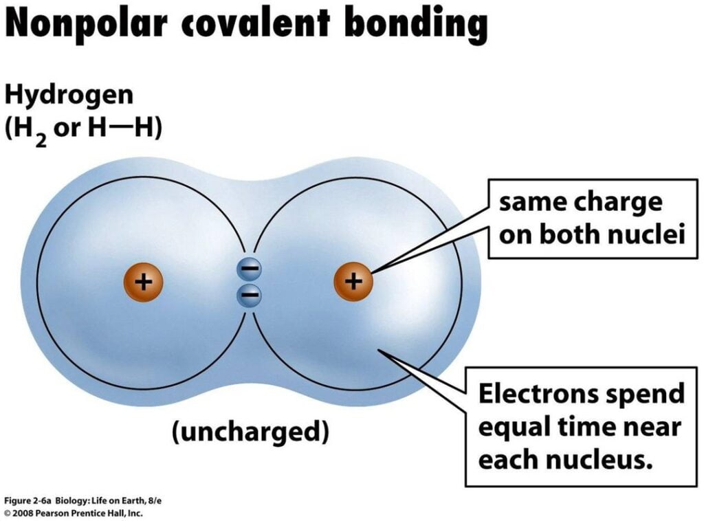 Hydrogen covalent bond