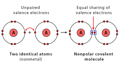 Non Polar Covalent Bond