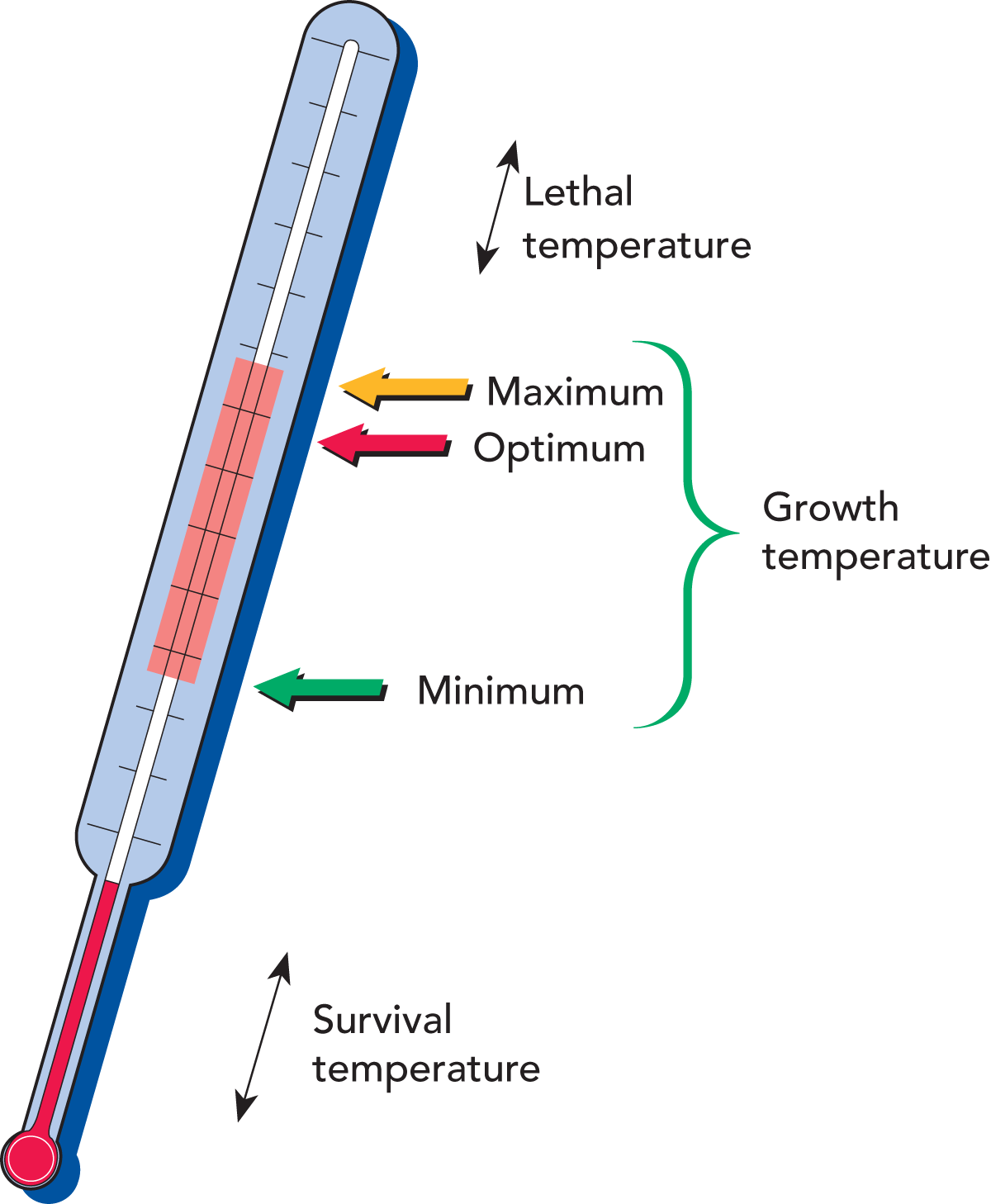 Effect of Temperature on microbial growth