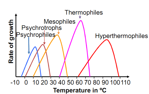 Effect of Temperature on Microbial Growth