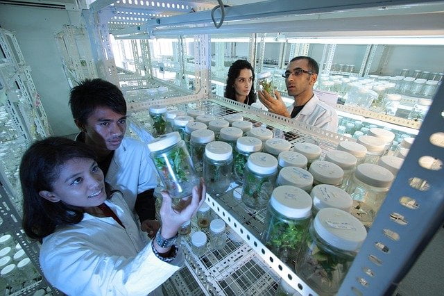 biotechnology jobs for freshers