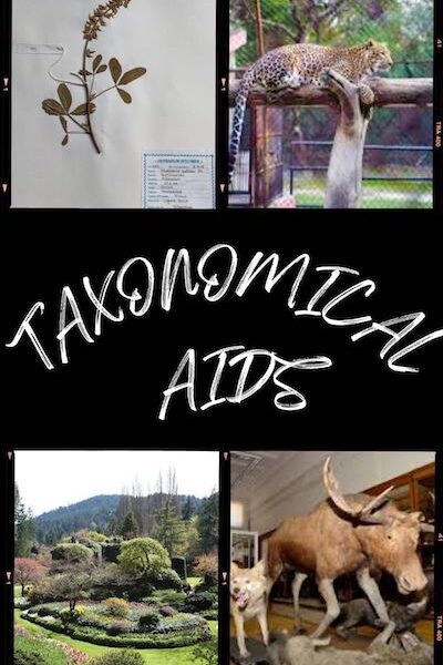 Taxonomical Aids @biokimicroki
