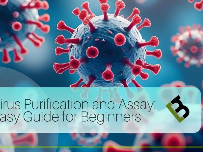 Virus Purification And Assay