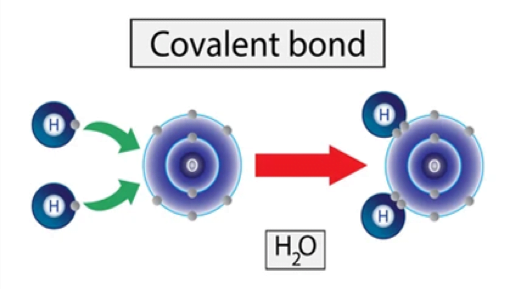 Covalent Chemical Bond
