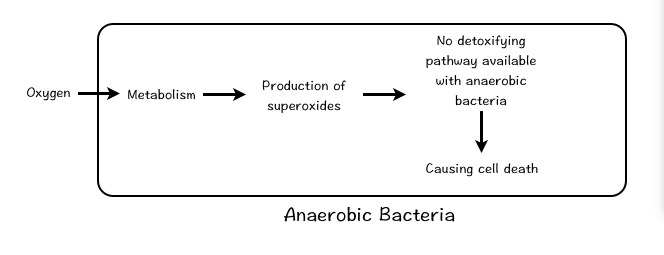 Cultivation of Anaerobic bacteria using Thioglycollate media