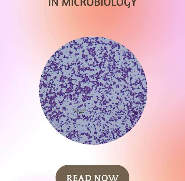 Basic Staining Technique in Microbiology